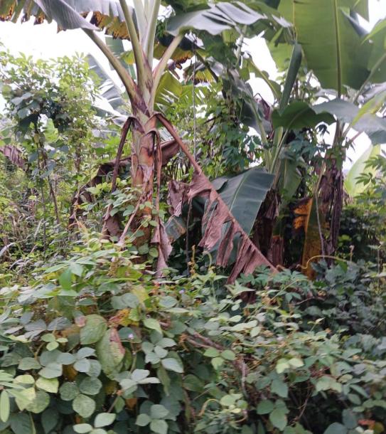 8 Plot of land-5